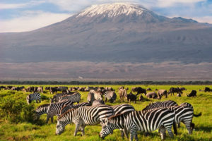 amboseli-national-park