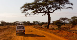 Read more about the article 6 Days Masai Mara, Lake Naivasha, Amboseli, Taita Hills Sanctuary to Mombasa