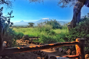 Read more about the article 4 Days & 3 Nights Tsavo East, Tsavo West & Amboseli Road Safari