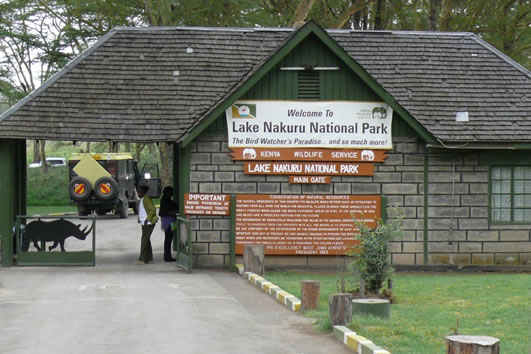 You are currently viewing 5 Days Lake Naivasha, Lake Nakuru,Masai Mara