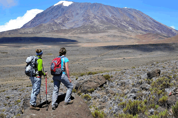 Read more about the article 8 Days  Kilimanjaro Climbing Marangu Route Trekking