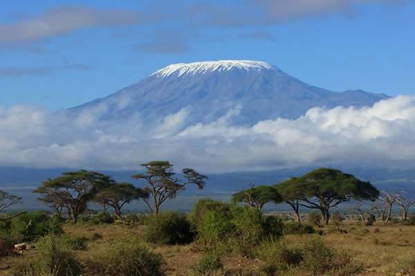 You are currently viewing 8 Days Mt Kilimanjaro Climbing Rongai Route