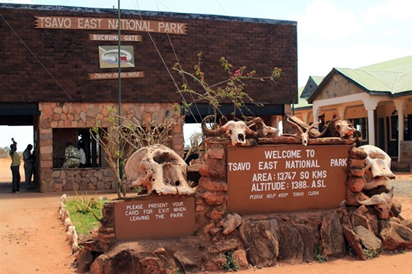 You are currently viewing 2 Days & 1 Night Tsavo East Tour From Mombasa,Diani,Malindi
