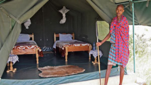 Read more about the article 8 Days Camping Safari,Masai Mara,Lake Nakuru, Amboseli, Tsavo