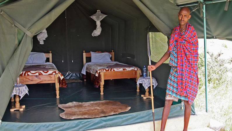 You are currently viewing 8 Days Camping Safari,Masai Mara,Lake Nakuru, Amboseli, Tsavo